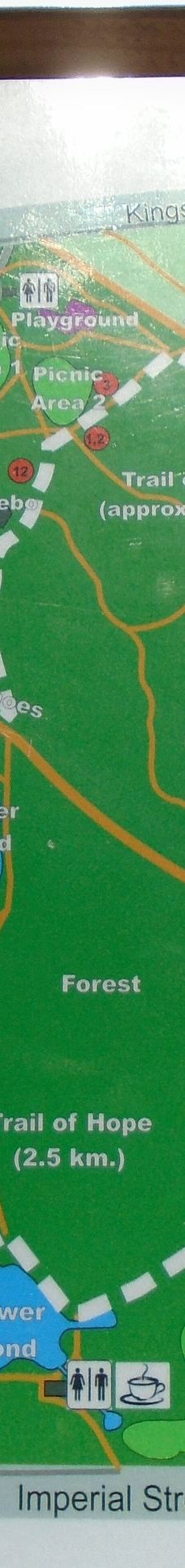 中央公园-本那比