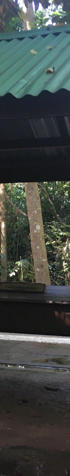 Wat Pa Ban Tat-乌隆他尼