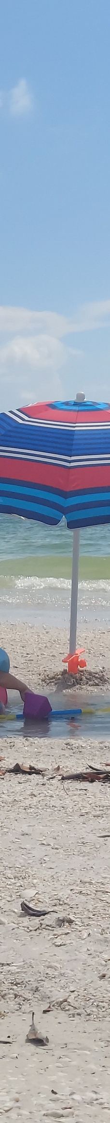 Tigertail Beach-马可岛