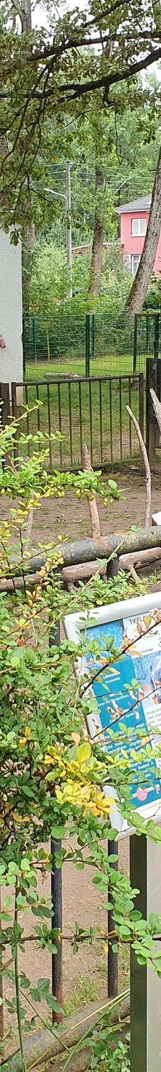 Chemnitz Zoo-开姆尼茨