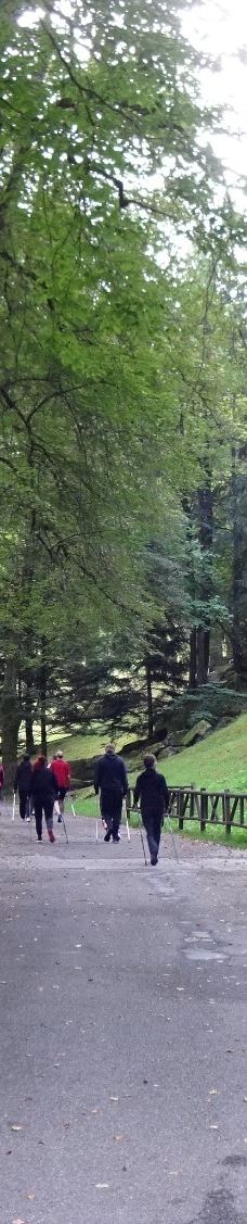 巴特维尔德巴特