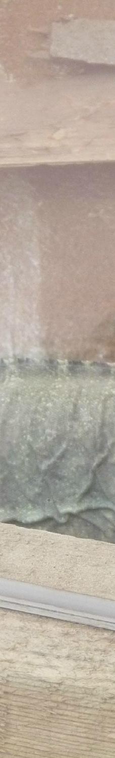 Biotropica, animal gardens-瓦德勒伊