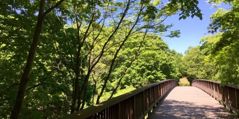 平岡公園