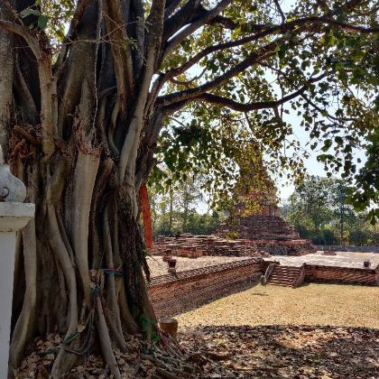 泰国清迈+清莱+金三角公园9日8晚自由行