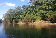 Sarapiqui River景点图片