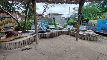 Tamar Project
