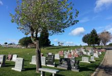 Lone Tree Cemetery景点图片