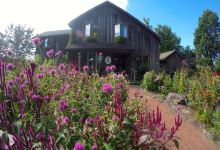 Solebury Orchards景点图片