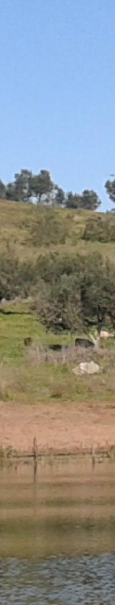 Alqueva Dam-蒂拉穆克县