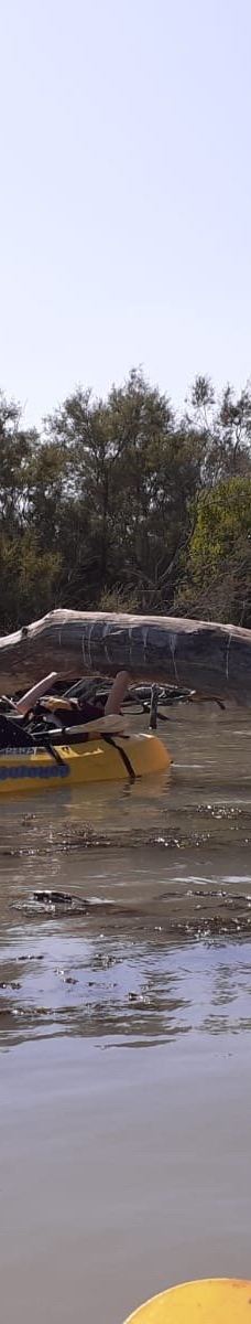 Domaine de la Palissade-阿尔勒