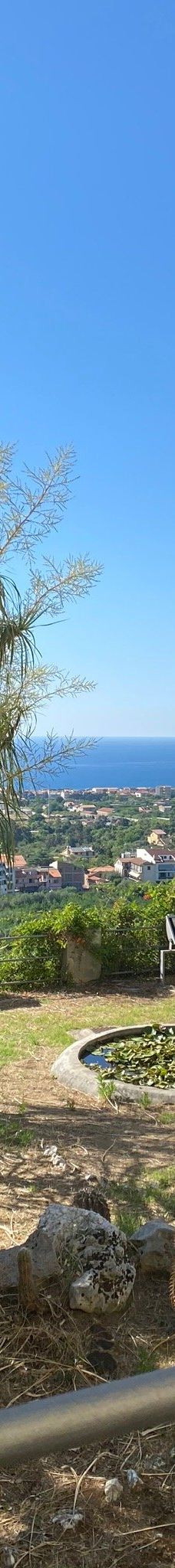 Fondazione Famiglia Piccolo-卡普多兰多