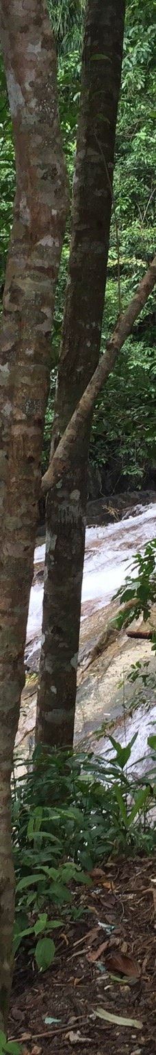 Ton Pring Waterfall-泰孟