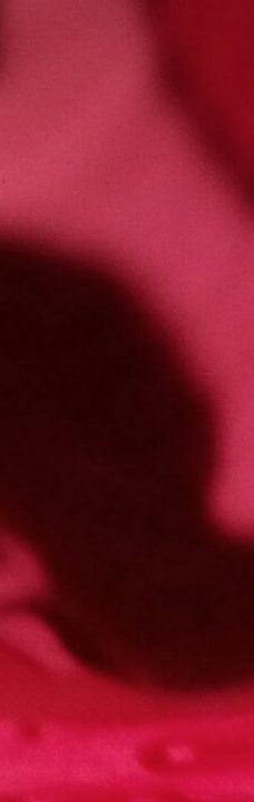 Ruth Rowell Modie Wildlife Park-刘易斯顿