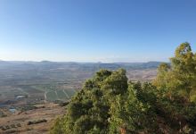 Belvedere景点图片