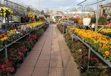Richardson's Floral Center购物图片
