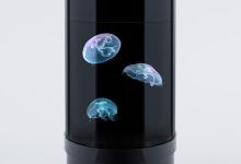 Jellyfish Art景点图片