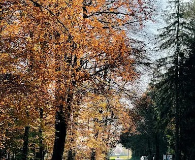 Parc Du Kaolin ' Le Sentier Des Nutons'