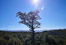 Mount Richardson景点图片