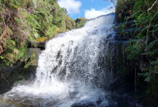 Cachoeira dos Medeiros景点图片