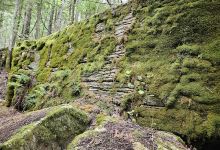 Wagg's Woods Trail景点图片
