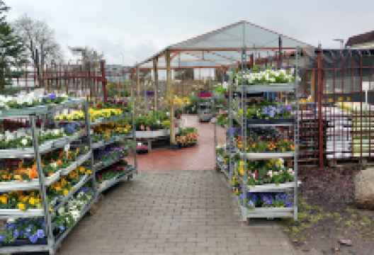 Garden Center PETRA购物图片