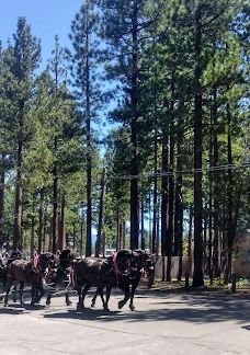 City of Lake Tahoe Campground-南太浩湖