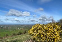 Knockfierna Walking Trail景点图片