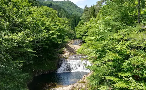 大滝