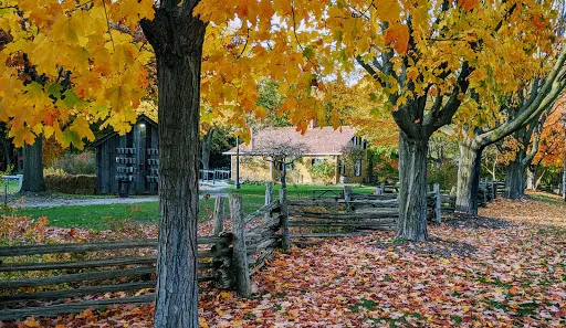 Bradley Museum