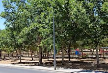 Parque los colores景点图片