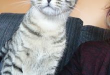 Upper Hainesville Cemetery景点图片