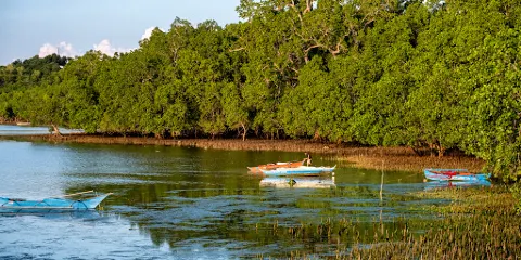 Guiwanon Spring Park