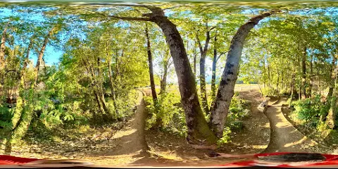 Paseo Fluvial De Quiroga