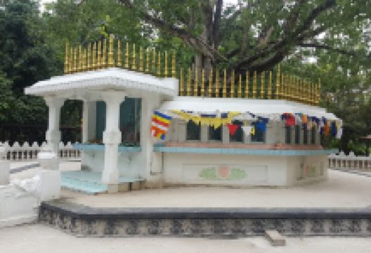 Sri Wijesundhararama Purana Maha Wiharaya景点图片