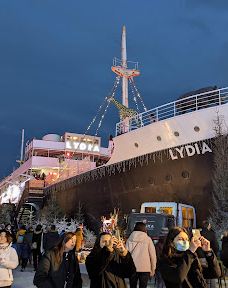 The pine forest of Le Barcarès-勒巴尔卡雷