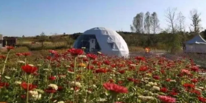 長春蓮花山花海大道印象蓮花主花海