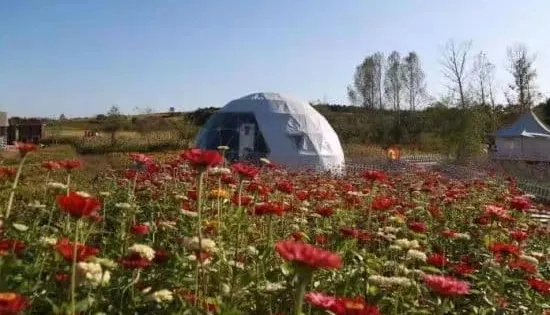 長春蓮花山花海大道印象蓮花主花海