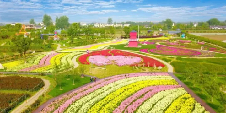 硫雲花海農業觀光園