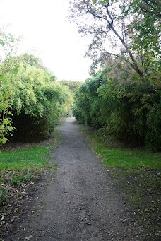 Geografisk Have-科灵