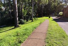Currawong Reserve景点图片