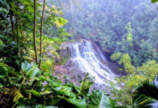 Ho'opi'i Falls Trailhead景点图片
