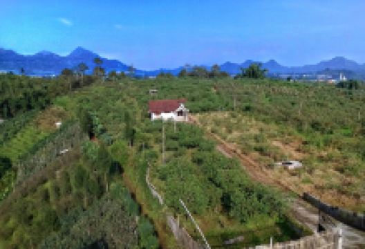 Gerojokan Cinta Waterfall景点图片