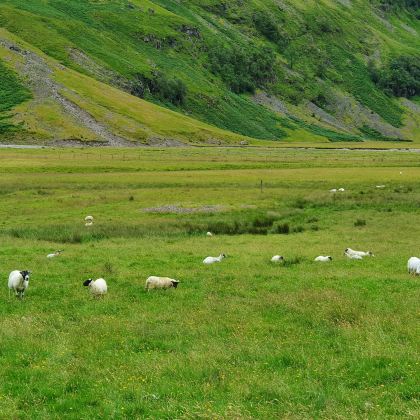 英国伦敦13日11晚私家团