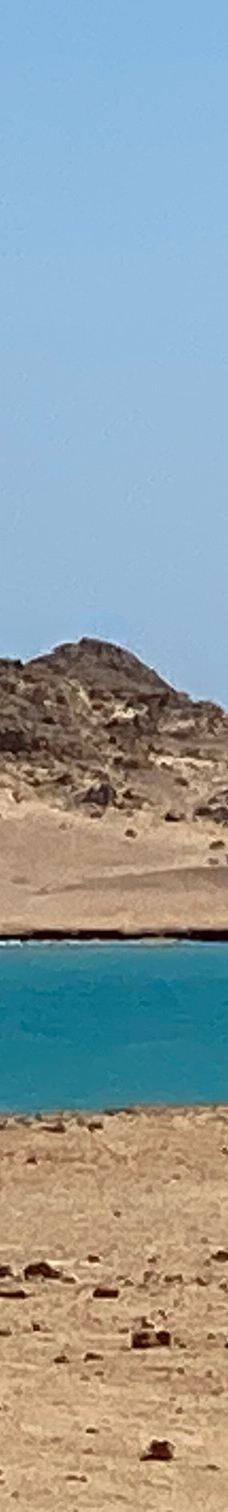 穆罕默德国家公园-Qesm Sharm Ash Sheikh