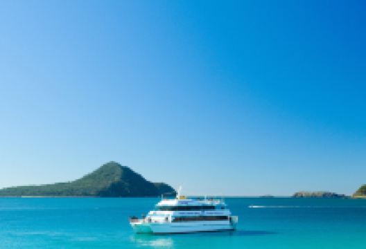 月影号出海观海豚游船景点图片