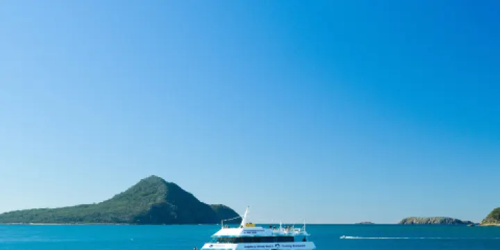 月影號出海觀海豚遊船