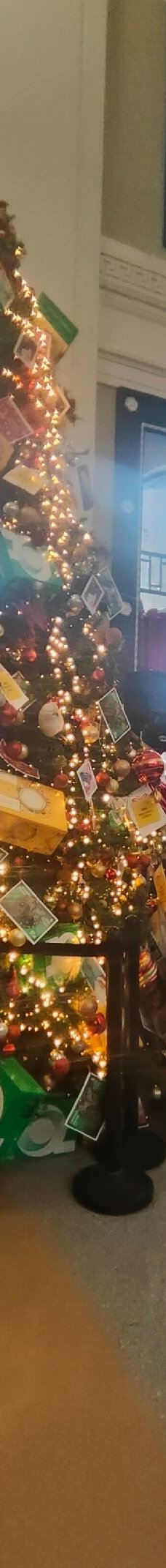 都柏林邮政总局-都柏林