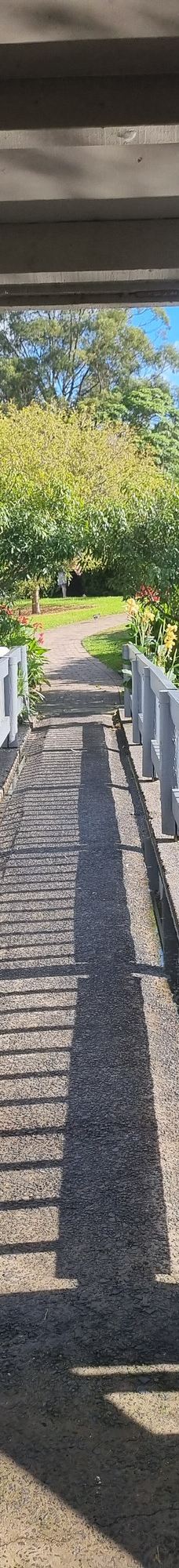 卧龙岗植物园-Keiraville