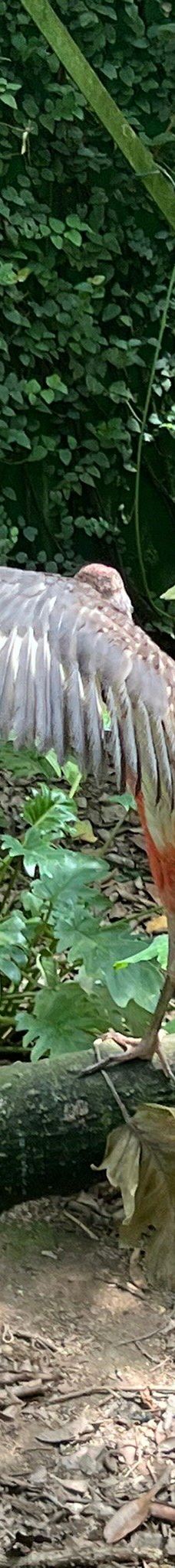 Butterfly Park Empuriabrava-Alt Emporda