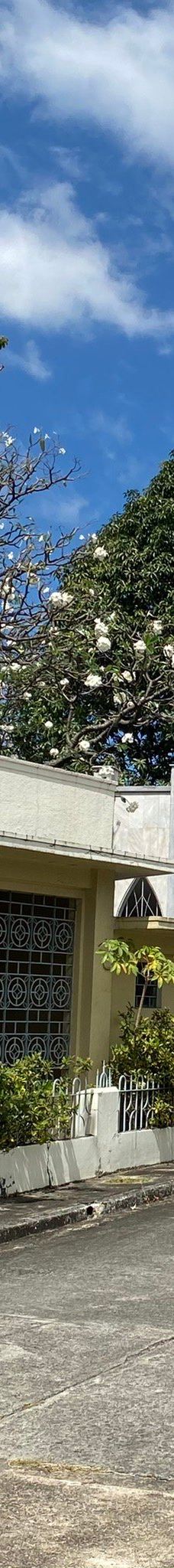 华侨义山-马尼拉市